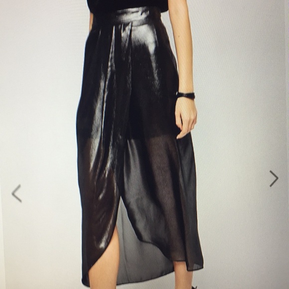 BCBGeneration Dresses & Skirts - NWOT BCBG silver metallic sheer maxi skirt 4